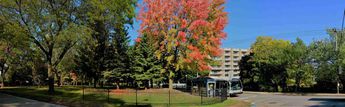 Autumn in Laval,qc.anada
© 2018 nicole leduc