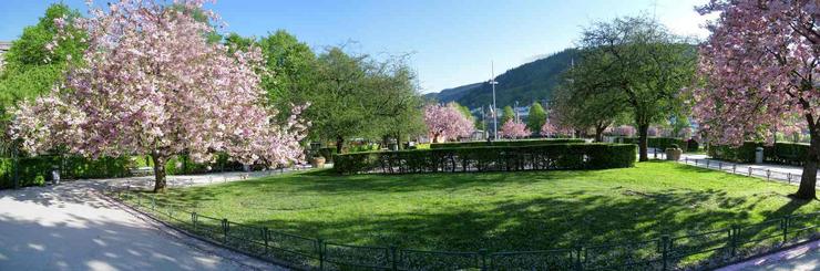 Early morning in Bergen. Norway
© 2011 Knut Dalen