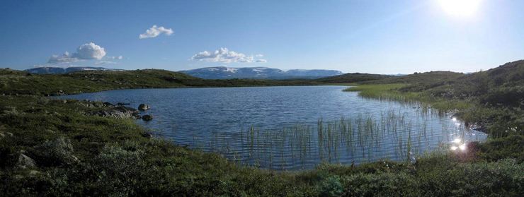 The lake Venebutjødnet. Hallingskarvet (alt 1937 m) in the background. Norway
© 2008 Knut Dalen