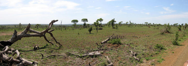 Kruger Park, South Africa
© 2006 Knut Dalen