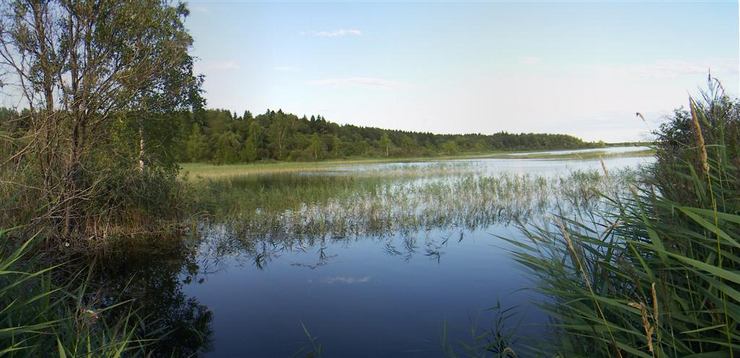 Kurlevsky Lake 
© 2006 Dmitry Karlov 