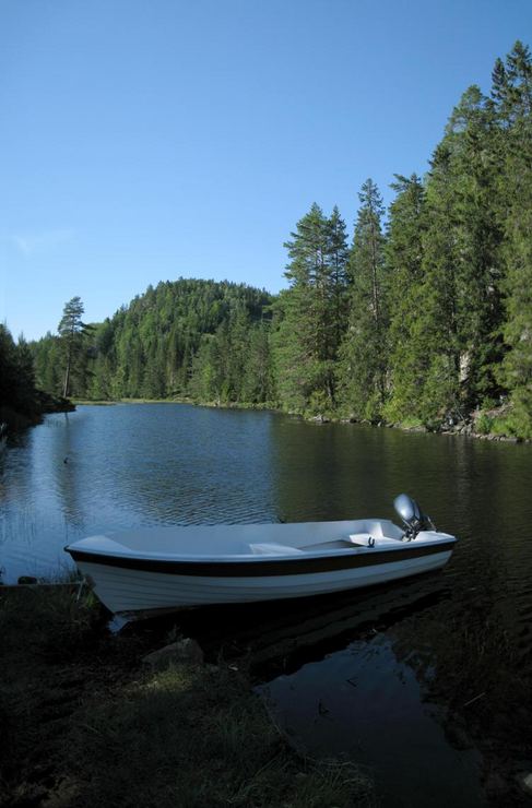 A small river in Froland, Aust-Agder, Norway
© 2008 Knut Dalen